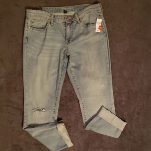 Cropped Pants